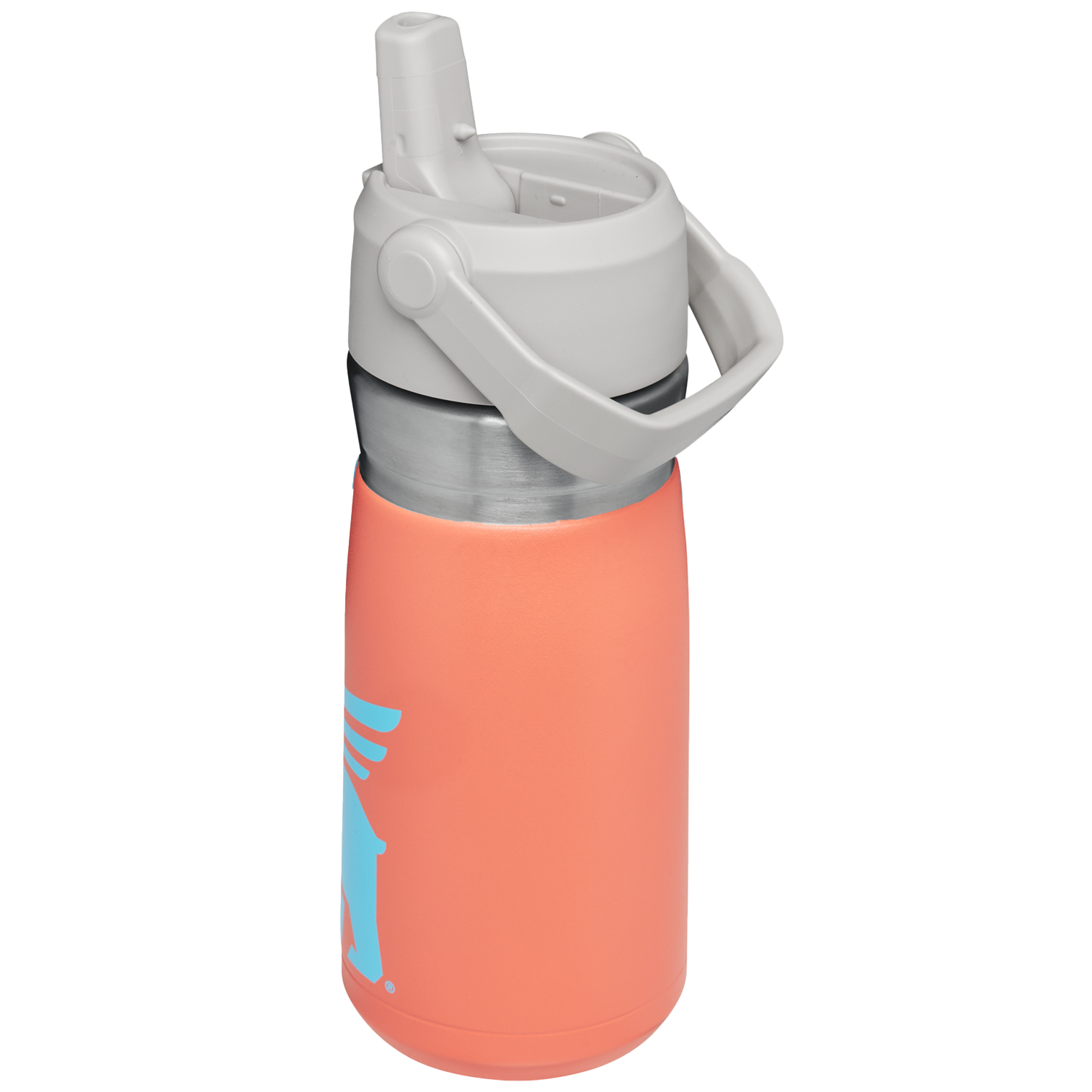 The Wild Imagination IceFlow™ Flip Straw Water Bottle | 17 OZ