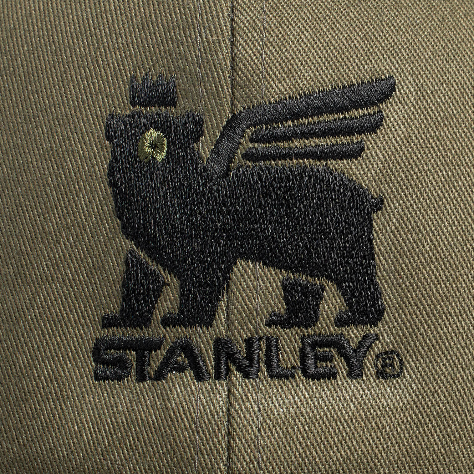 The Bear Snapback Cap